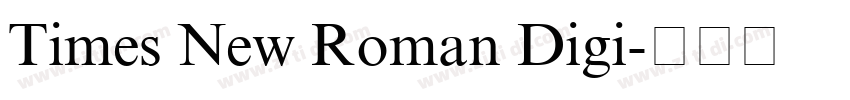 Times New Roman Digi字体转换